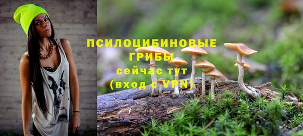 дурь Киреевск