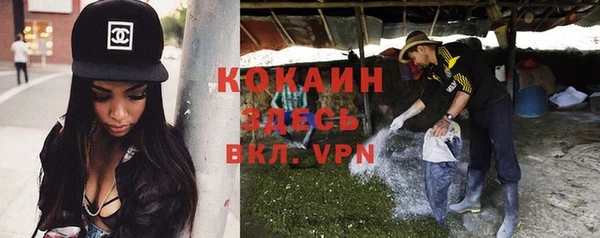 гашик Кинешма