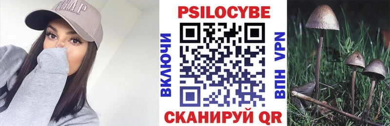 blacksprut маркетплейс дарк нет состав Псилоцибиновые грибы прущие грибы Микунь
